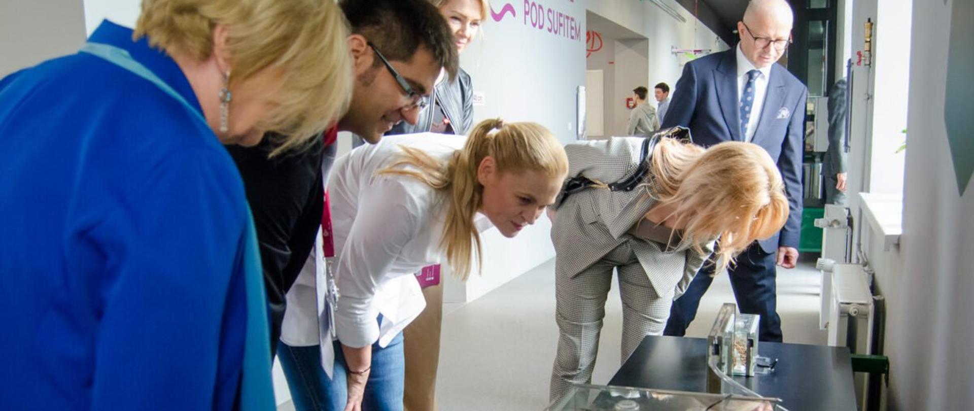 Minister edukacji Barbara Nowacka podczas wizyty na Podkarpaciu