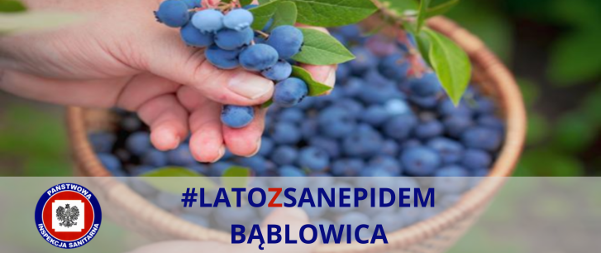 W tle widoczna miska z jagodami. Nad miską widoczna dłoń trzymająca gałązkę jagód. Na dole zdjęcia widoczne logo Państwowej Inspekcji Sanitarnej oraz napis #latozsanepidem Bąblowica.