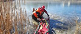 Strażacy w skafandrach suchych przy użyciu sań lodowych ewakuują sarnę z zalodzonego akwenu wodnego