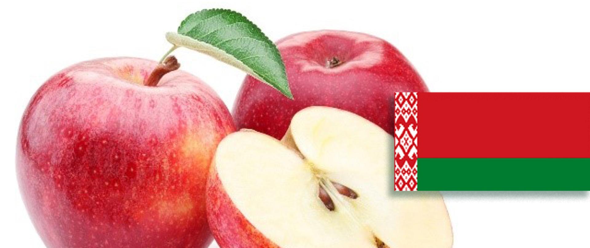 zdjęcie przedstawia trzy owoce jabłek w kolorze czerwonym, jedno jabłko ma zielony listek. Jeden owoc jest przecięty na pół. Na obrazku z jabłkami nałożona jest flaga Białorusi w kolorze czerwonym i zielonym