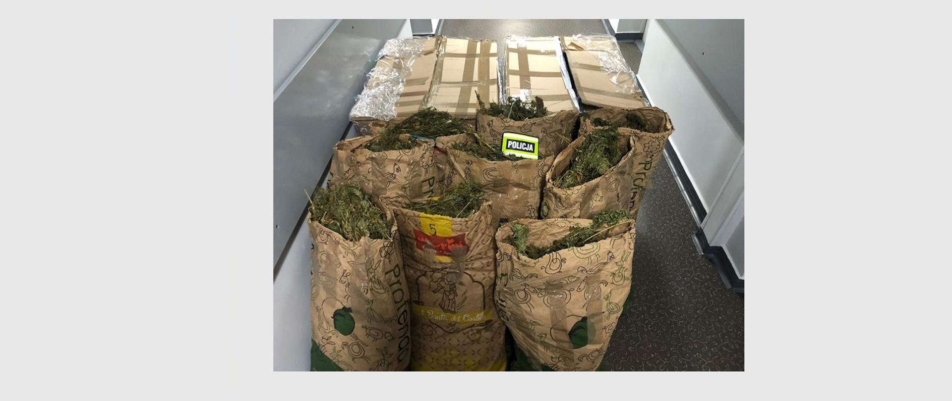 Wielkopolski pion PZ PK przejął 127 kilogramów marihuany