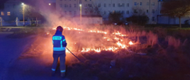 Strażak gasi prądem wody palące się trawy. W tle widoczne zabudowania miejskie.