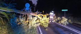 Drzewo na drodze, jest noc