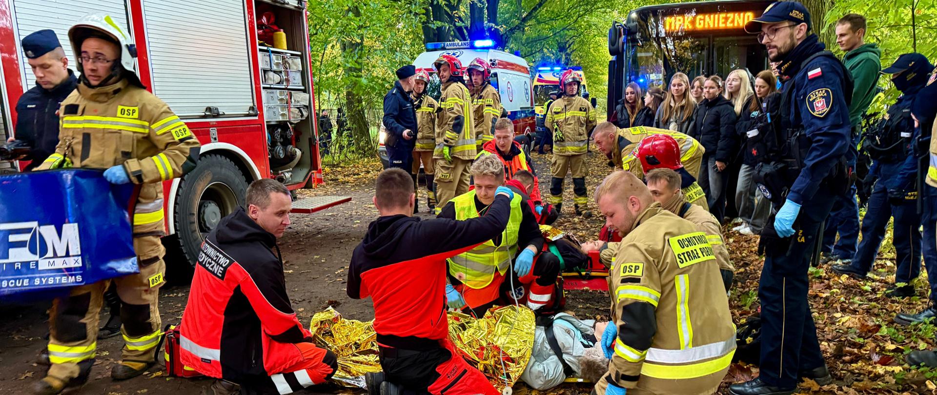 Ćwiczenia PALOMINO 2025