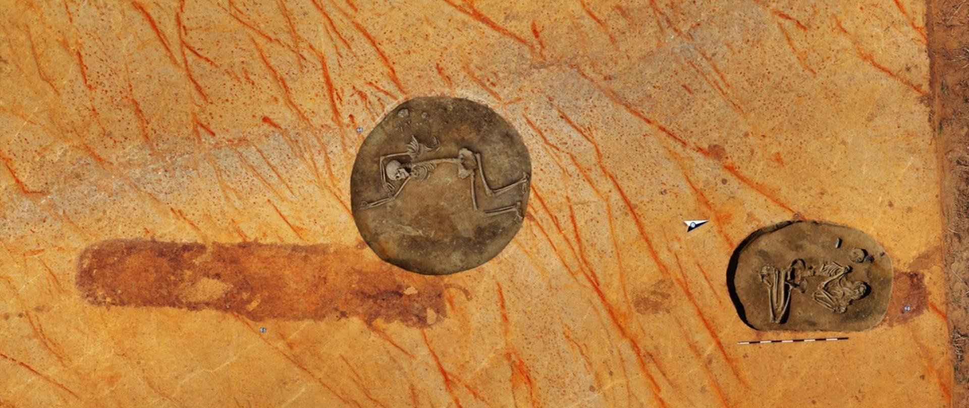 Trzy grobowce odkryte przez archeologów w trakcie budowy drogi ekspresowej S7. Szkielety złożone w ziemi, odkryte przez archeologów.