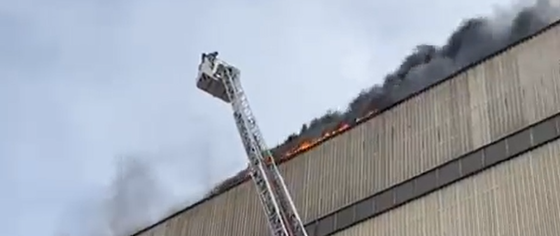 Widoczny ogień na dachu hali. Na pierwszym planie rozstawiona autodrabina PSP.