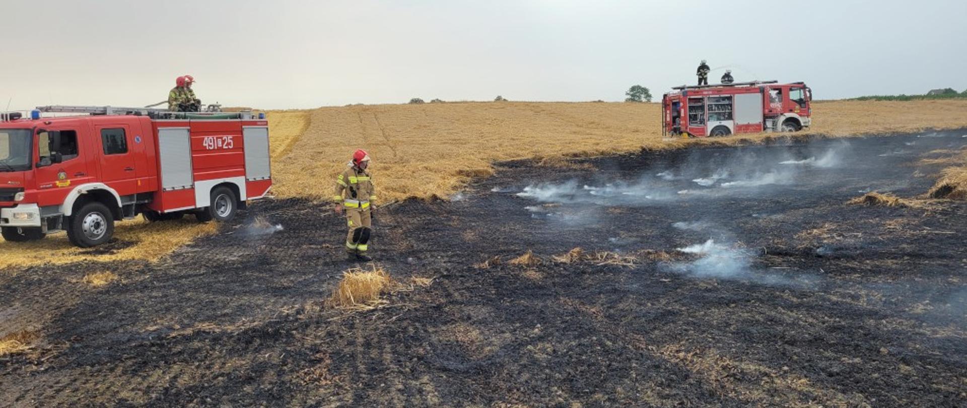 Na zdjęciu strażacy podczas gaszenia zboża na pniu