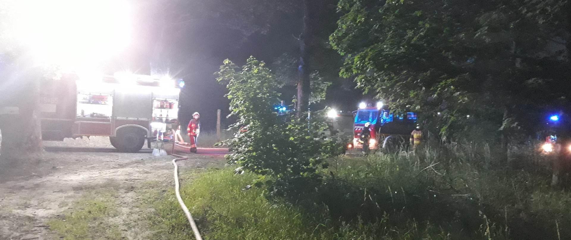 Pożar lasu Sieniawa