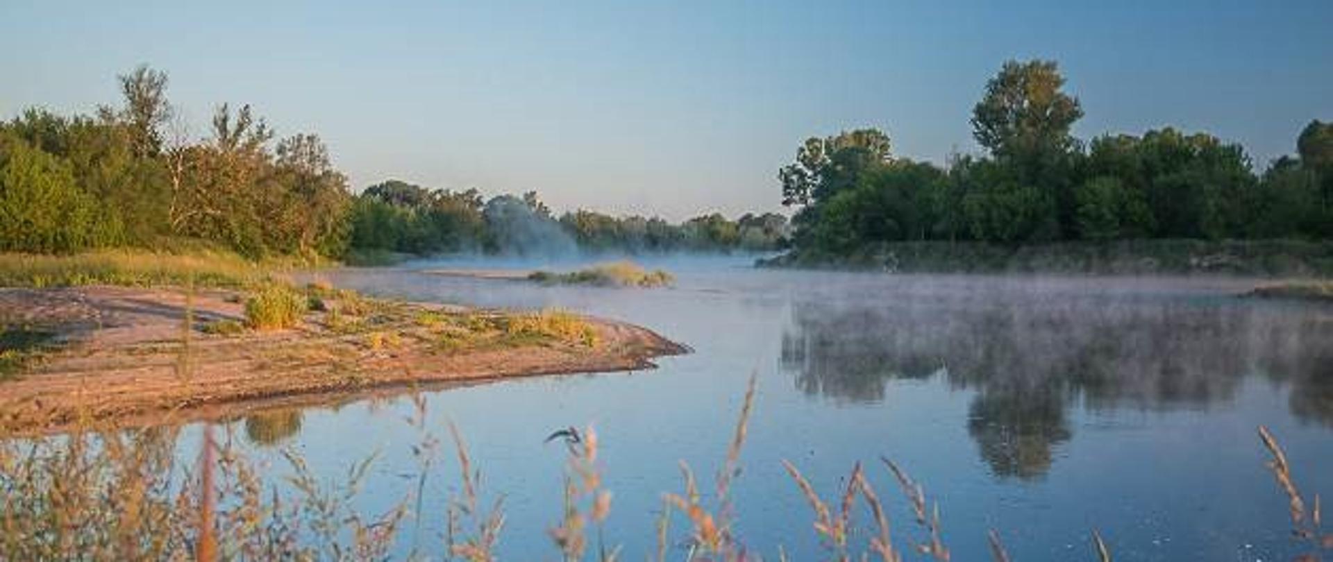 Meandrująca rzeka Wisła w czasie słonecznego poranka. Kolor wody jasnoniebieski do niebieskiego. Nad rzeką unosi się mgła. Na pierwszym planie w dolnej części zdjęcia kłosy traw. Na drugim planie z lewej strony piaszczysta ostroga skąpo porośnięta niską roślinnością trawiastą. W tle zadrzewienia nadwodne po obu stronach rzeki, z lewej strony zielone, z prawej ciemnozielone, w cieniu. Zadrzewienie z prawej strony odbija się w tafli wody. W górnej części zdjęcia bezchmurne niebo jasnoniebieskie do niebieskiego.