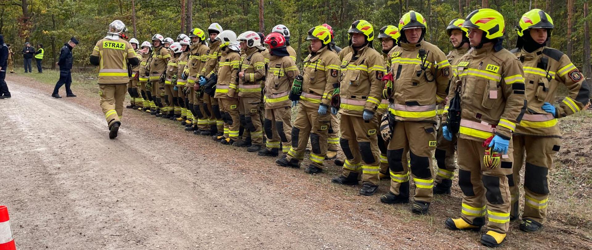 Na zdjęciu widzimy grupę strażaków stojących w szeregu na leśnej drodze gruntowej. Są ubrani w pełne umundurowanie ochronne: kaski, rękawice oraz kombinezony z odblaskowymi pasami. Jeden ze strażaków, z napisem „STRAŻ” na plecach, oddala się od grupy w lewą stronę kadru, co może sugerować, że pełni rolę dowódcy lub wykonuje konkretne zadanie.
Otoczenie to gęsto zalesiony teren, a pogoda wydaje się pochmurna — typowe warunki dla ćwiczeń terenowych lub akcji ratowniczej. W tle widać kilka innych osób, które mogą być obserwatorami, koordynatorami lub członkami innych służb.
Cała scena wygląda na dobrze zorganizowaną — może to być część szkolenia, manewrów lub przygotowań do działań w terenie. Obecność wielu strażaków i ich ustawienie wskazują na gotowość i dyscyplinę.