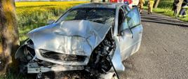 Zdjęcie przedstawia srebrny samochód po uderzeniu w drzewo stojący na poboczu drogi.