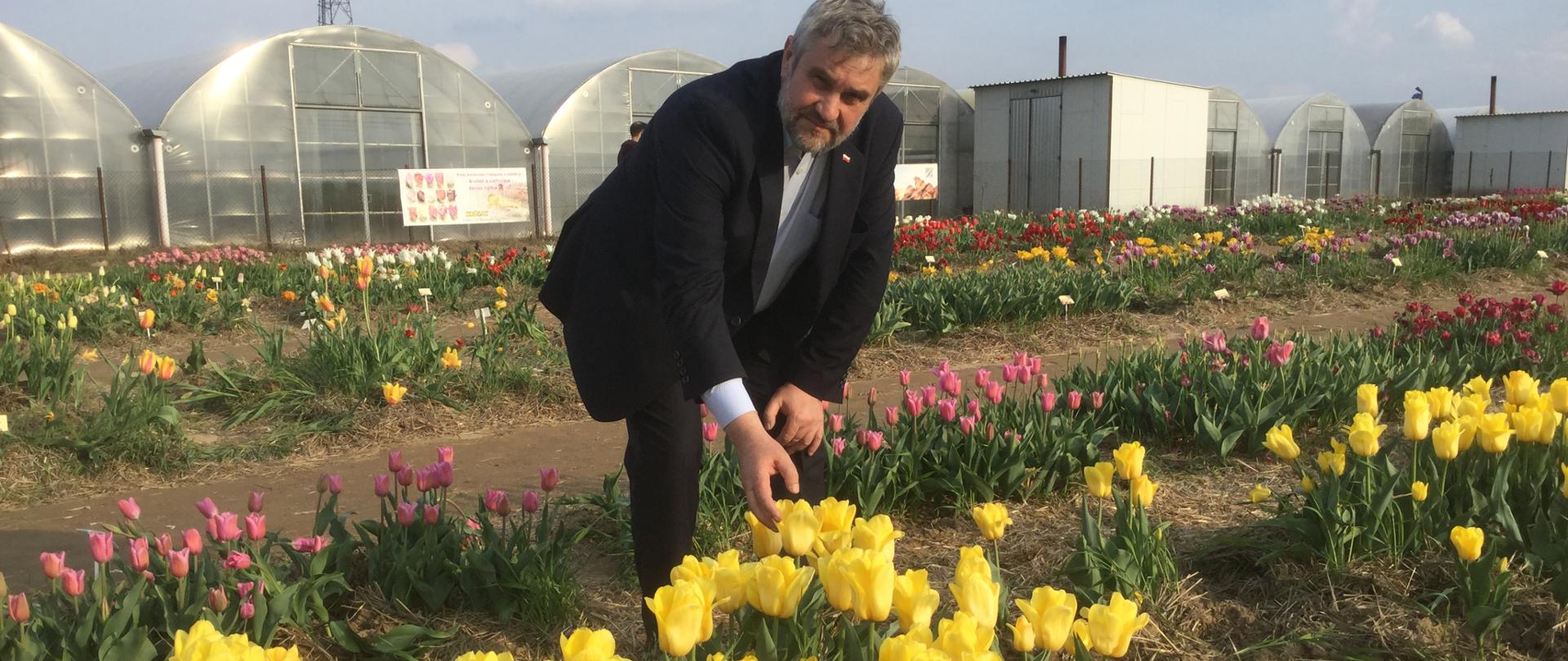 Międzynarodowe Targi Tulipanów w Chrzypsku Wielkim 