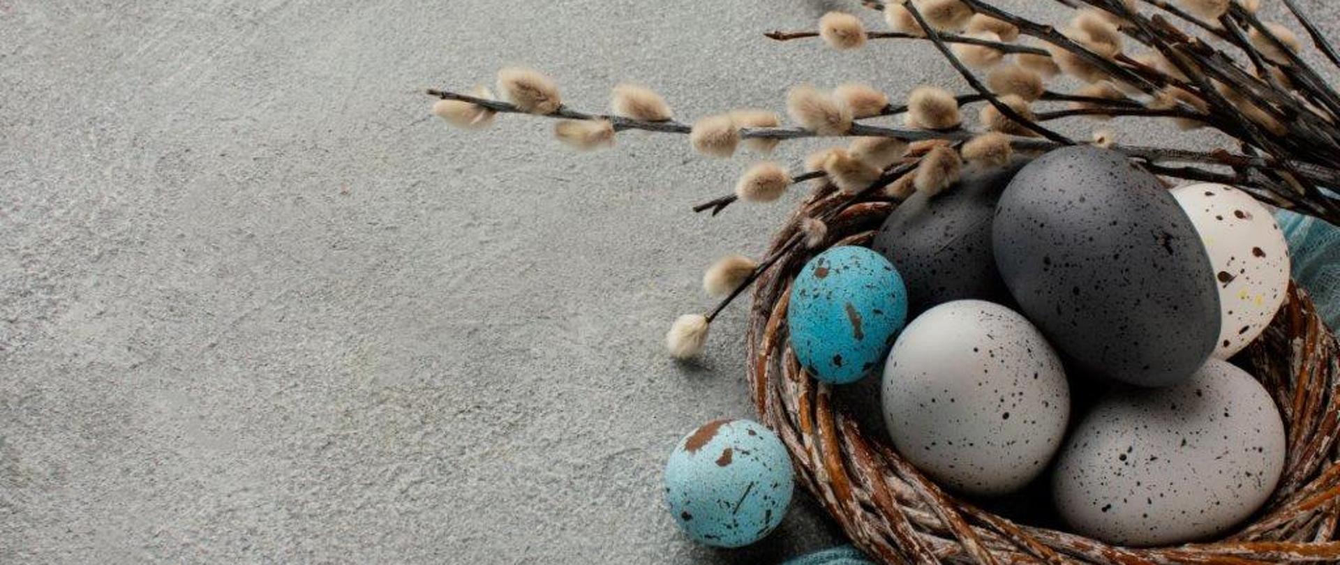 kolorowe pisanki w wiklinowym koszyku na szarym tle u góry bazie 