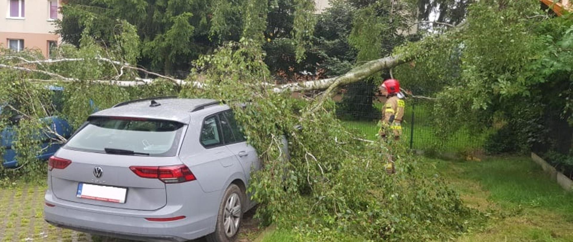 Drzewo przewrócone na dwa samochody osobowe na parkingu.