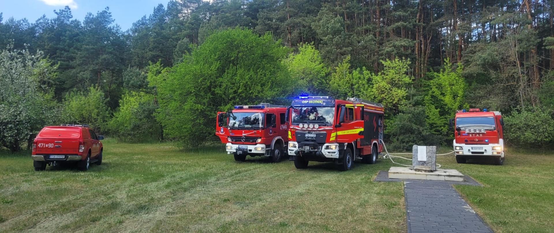Pożar lasu w miejscowości Koprzywnica 