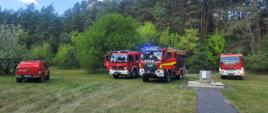 Pożar lasu w miejscowości Koprzywnica 