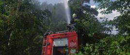 Zdjęcie przedstawia strażaka, który podaje wodę na las z działka znajdującego się na samochodzie strażackim 