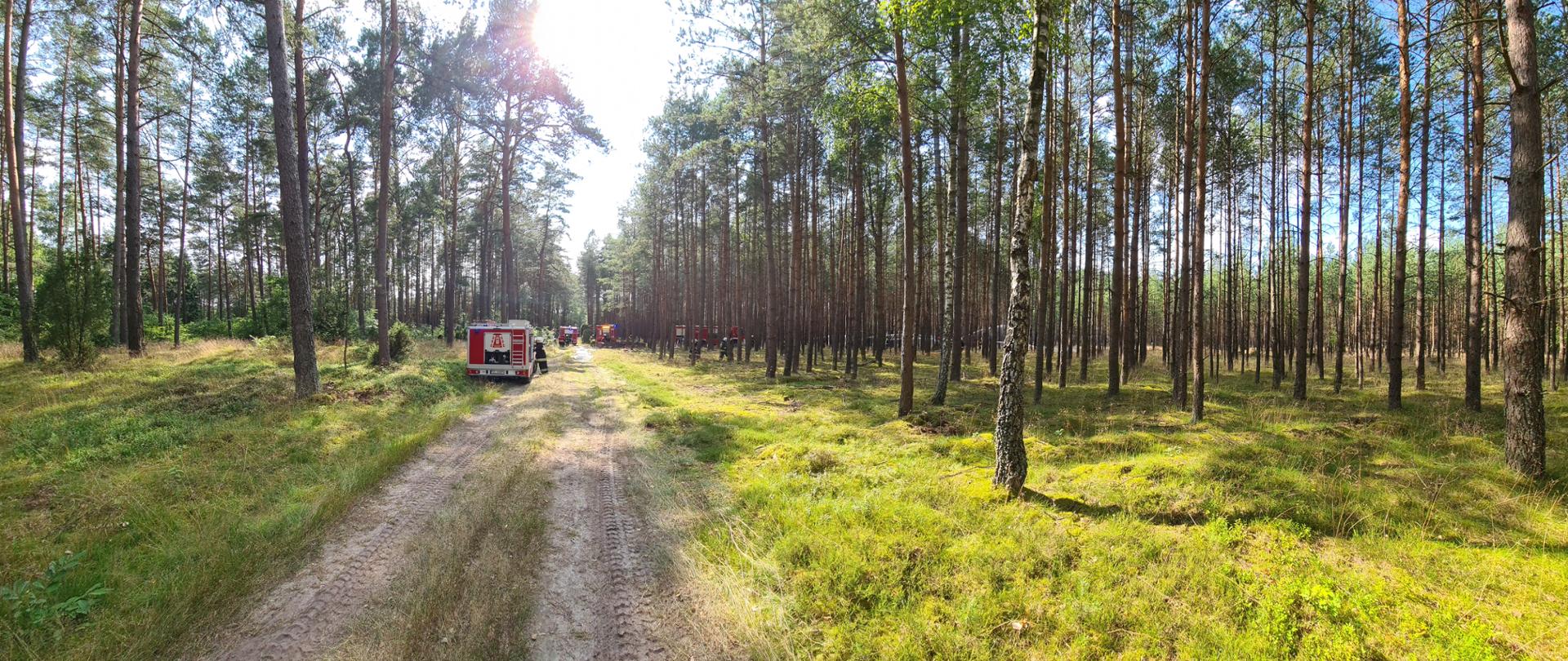 Zdjęcie prawie całego miejsca ćwiczeń. Widok przepięknego lasu wśród ,którego postawione są samochody straży pożarnej, na drogach dojazdowych do miejsca pożaru. 