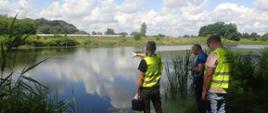 Wizja w terenie wzdłuż linii brzegowej zachodniego zbiornika starorzecza rzeki Wisły w Podgórkach Tynieckich pracowników PGW Wody Polskie oraz WIOŚ