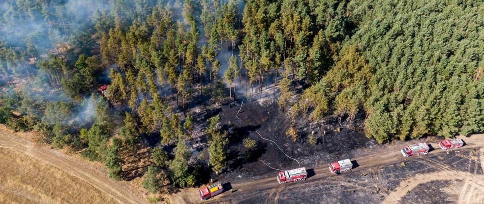 pożar lasu