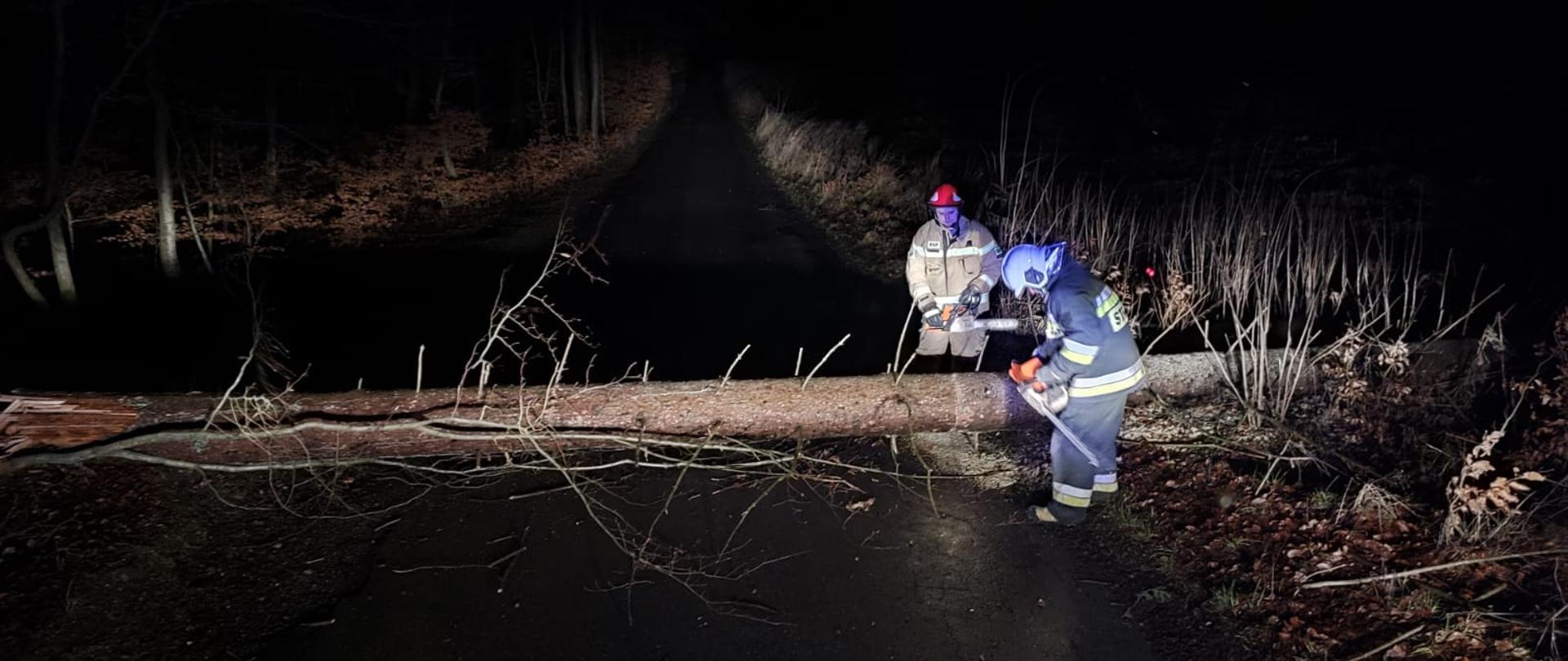 Zdjęcie przedstawia ratowników trących powalone drzewo