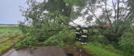 Na zdjęciu widać dwóch strażaków w ciemnych strojach i białych hełmach, którzy odcinają złamany konar. Drzewo leży na asfaltowej drodze. W tle widać pola oraz inne drzewa. Jest widno.