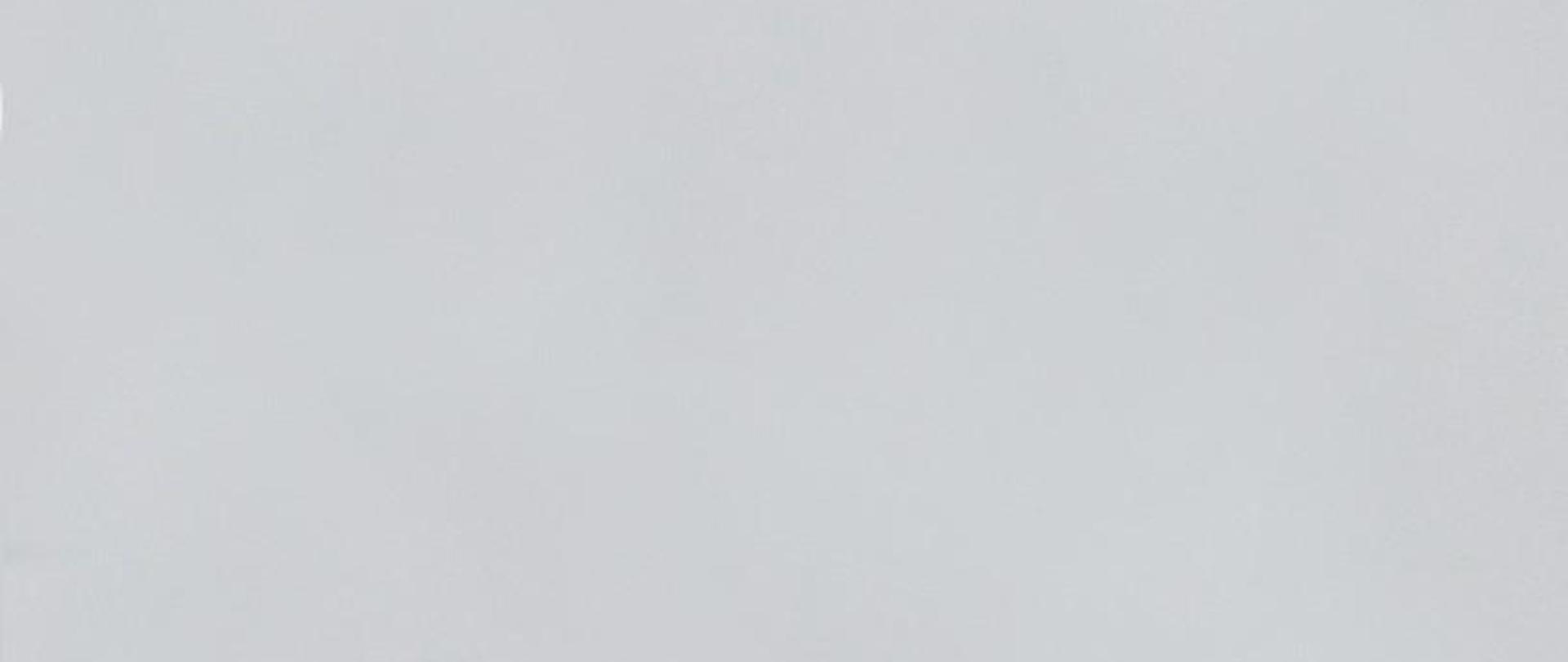 Szare tło bez żadnych obrazów