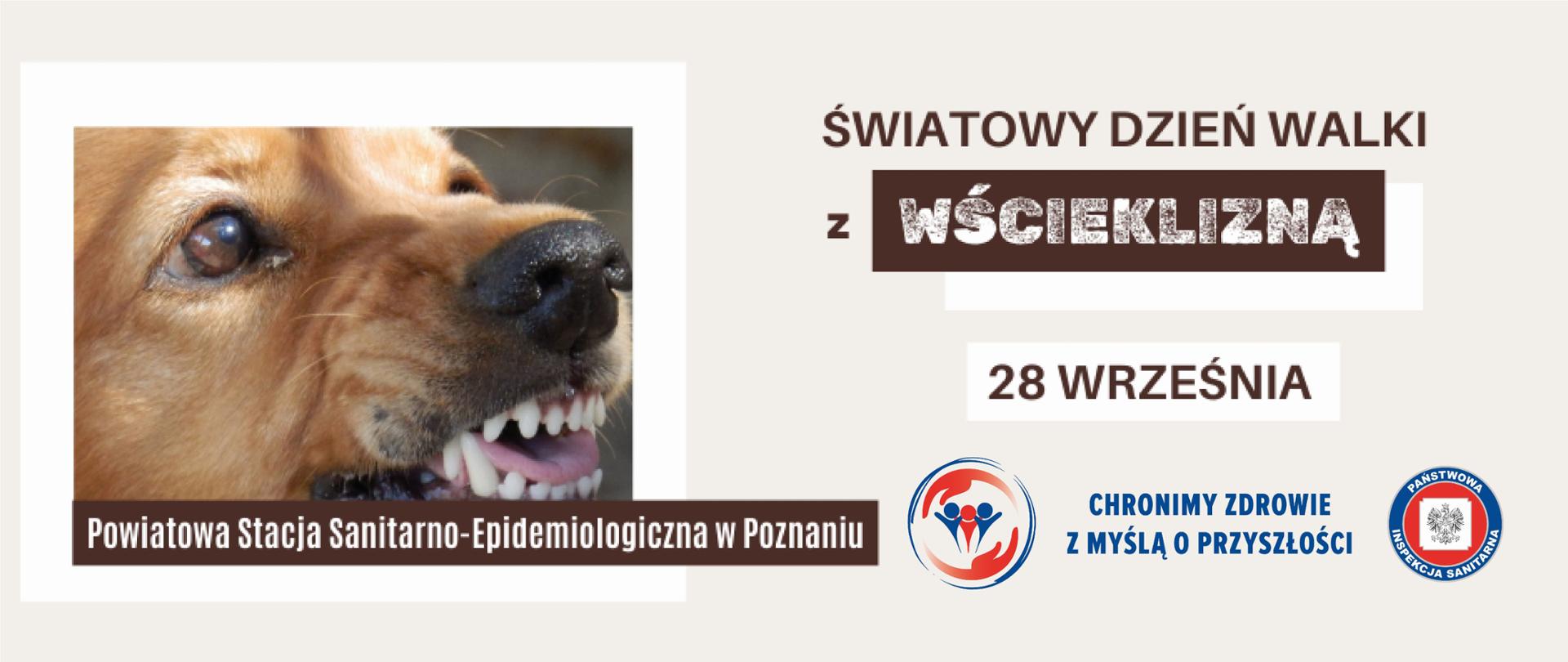 Pies z wyszczerzonymi kłami w agresywnej pozie; na obrazie widoczny jest napis: Światowy Dzień Walki ze Wścieklizną 28 września oraz logo GIS z napisem Chronimy zdrowie z myslą o przyszłości