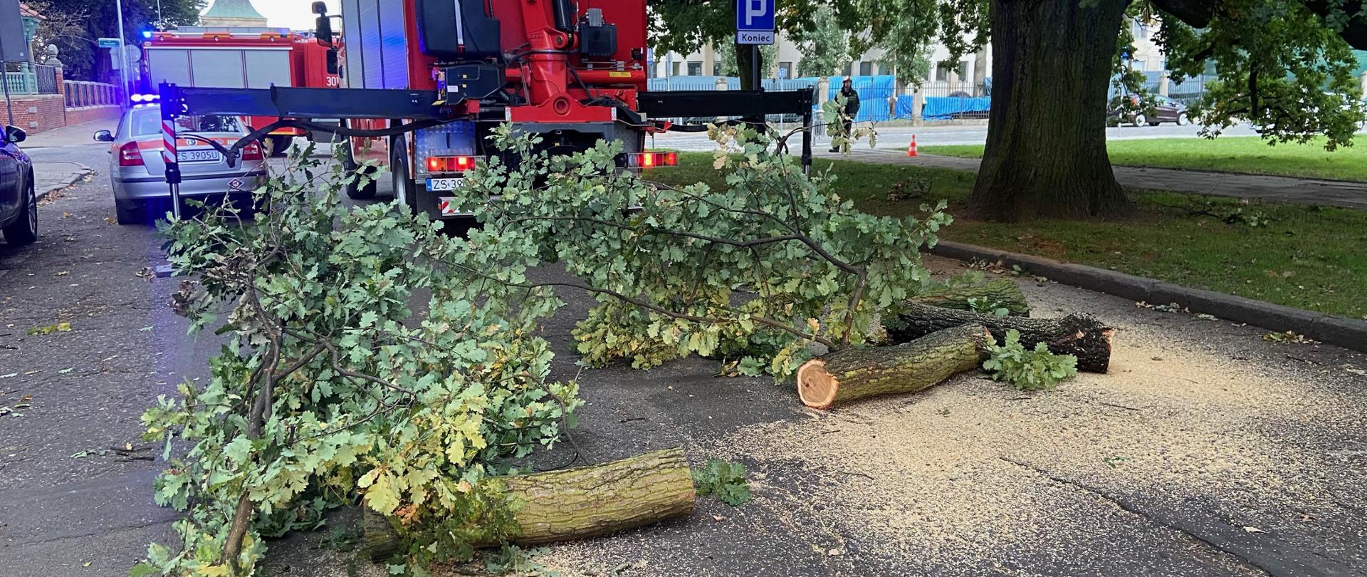 Złamany konar drzewa na samochodach