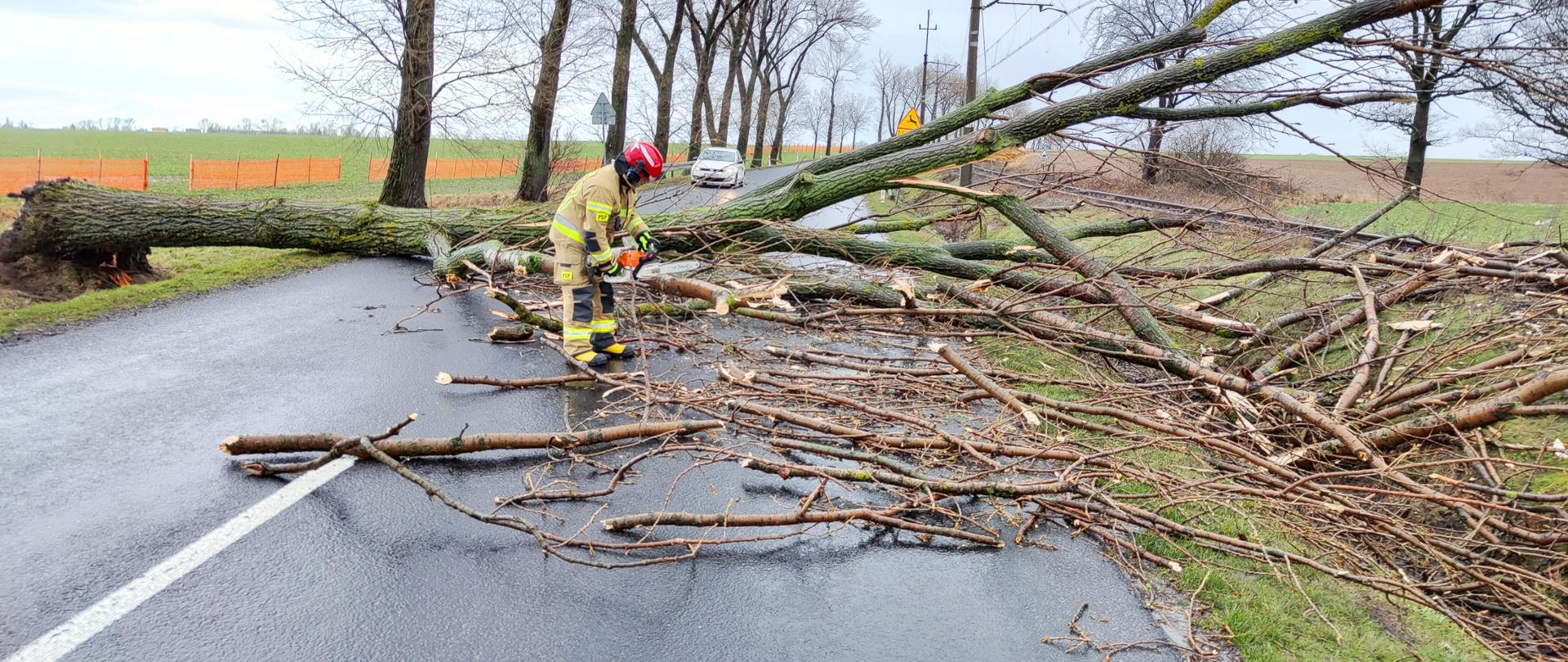 powalone drzewo na jezdnię, obok strażak z piłą usuwający zagrożenie, po bokach pola i drzewa