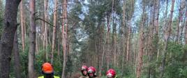 Szkolenie z zakresu techniki ścinki drzew, okrzesywania i przerzynki drzew leżących podpartych jedno i dwupunktowo wg naprężeń ściskających i rozciągających dla funkcjonariuszy JRG Oborniki zorganizowane przez Nadleśnictwo Durowo.