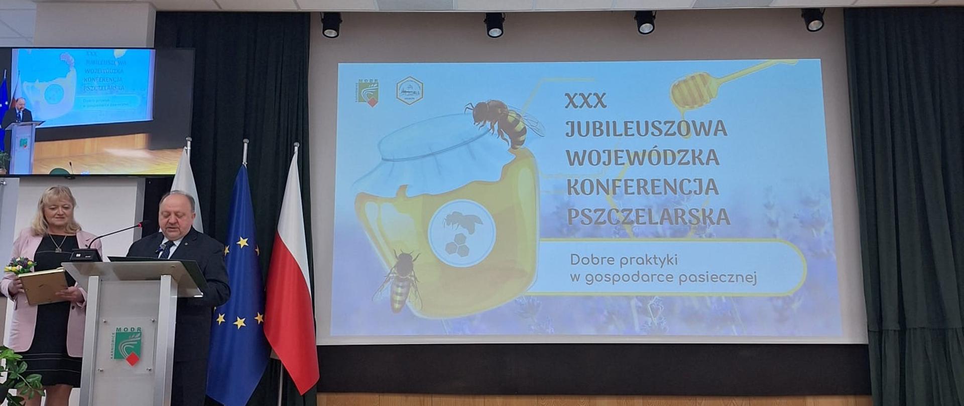 Widok sali konferencyjnej i ekranu z prezentacją