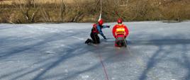 Zdjęcie przedstawia strażaków podczas ćwiczeń z zakresu ratownictwa lodowego