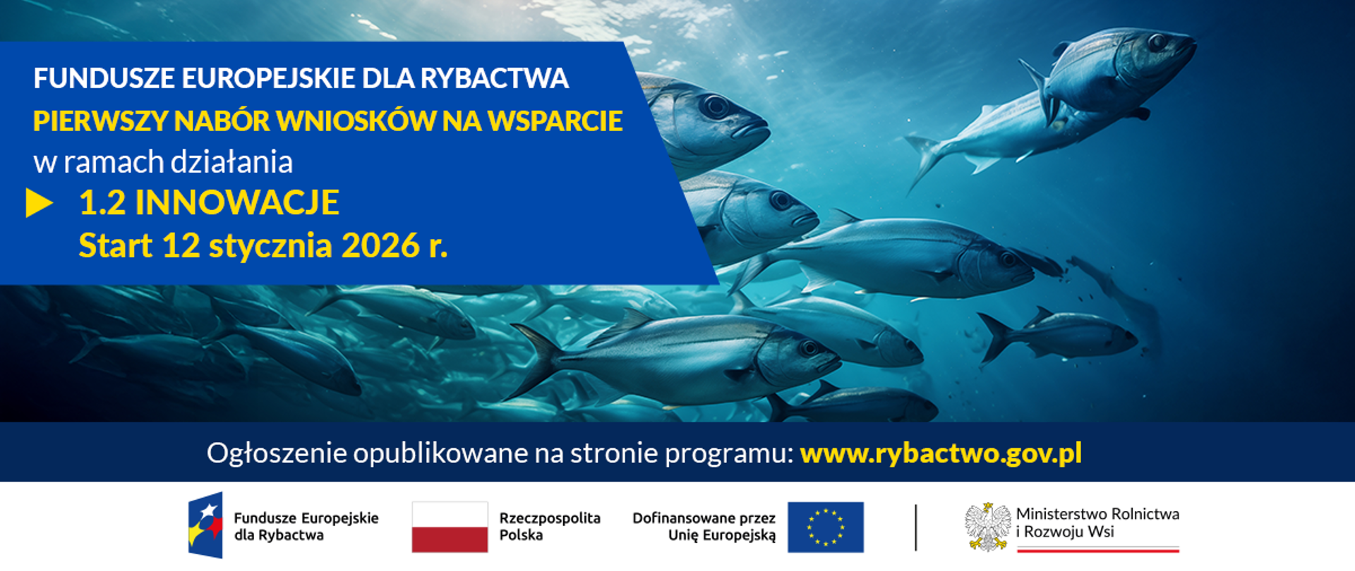 Wsparcie na innowacje w sektorze rybołówstwa