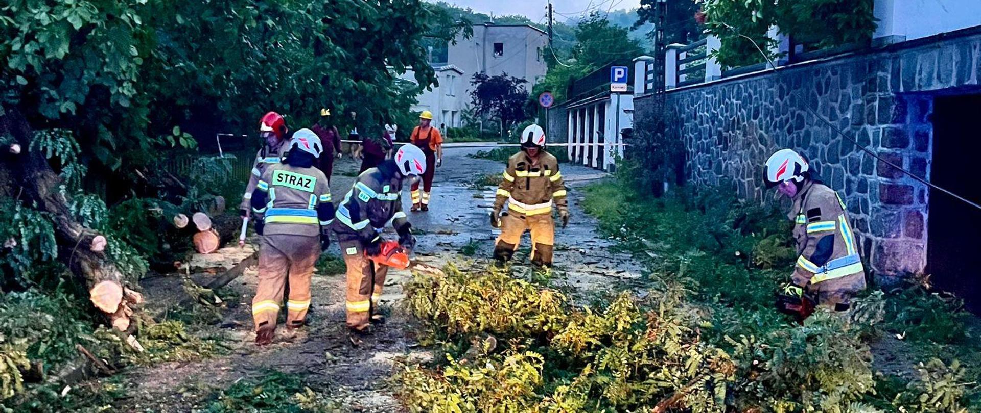 Druhowie Ochotniczej Straży Pożarnej wraz z dowódcą Jednostki Ratowniczo - Gaśniczej prowadzący działania w związku z powalonym na drodze drzewem. 