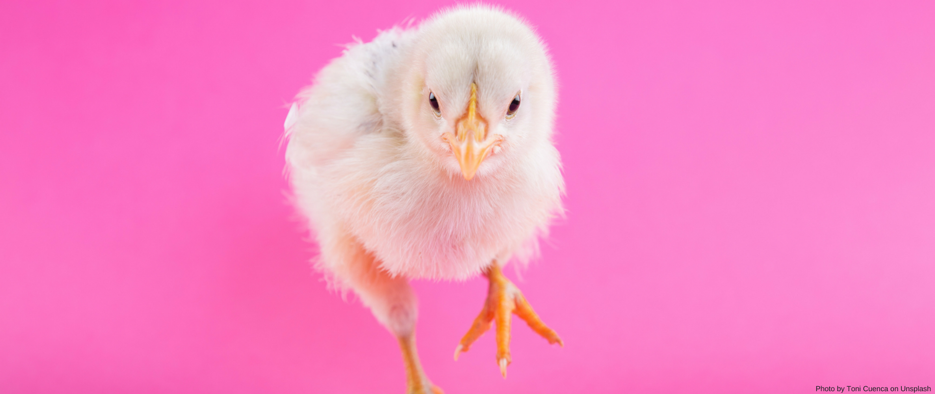 Życzenia świąteczne slider