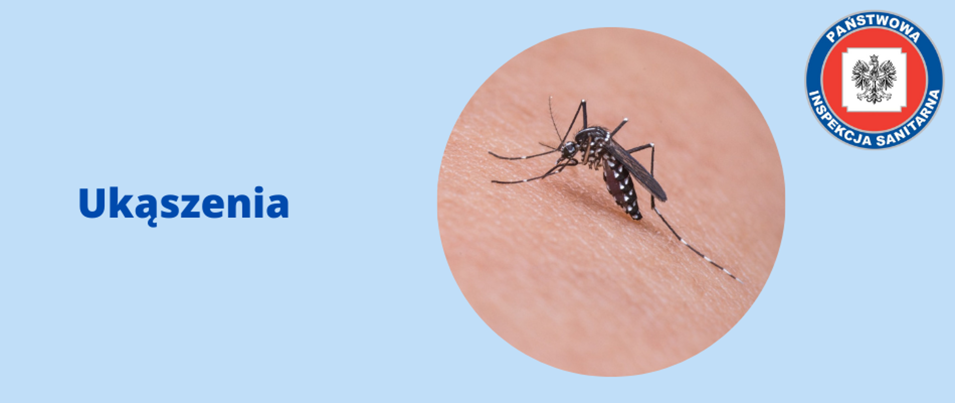 ukąszenia