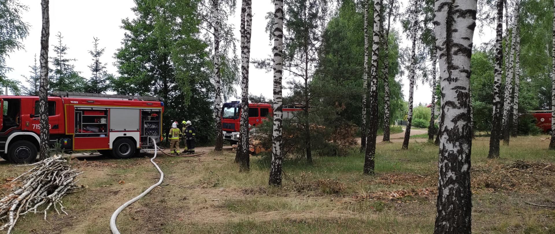 Ćwiczenia zgrywające JRG Żuromin i jednostek OSP z terenu powiatu
w kompleksie leśnym Leśnictwa Chrapoń gm. Lutocin
