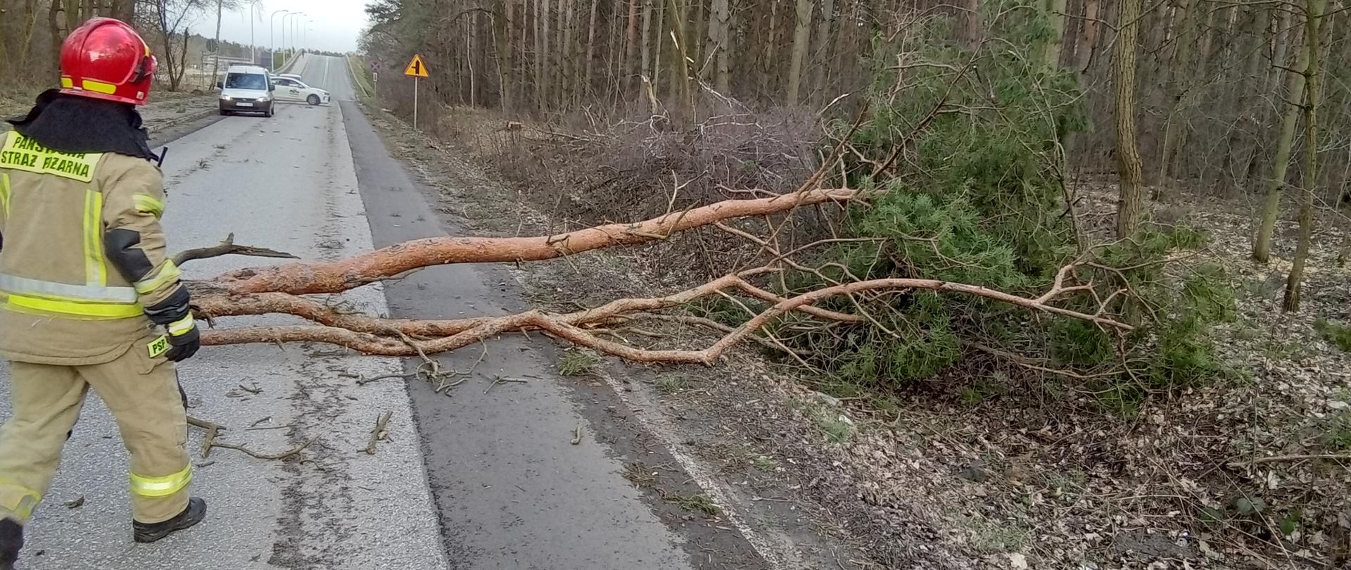 Funkcjonariusz straży pożarnej, Powalone drzewo na jezdnie blokujące przejazd w tle las
