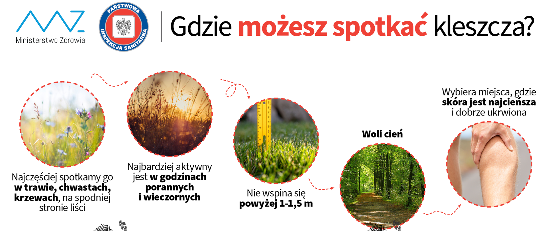 Grafika przedstawiająca miejsca gdzie najczęściej można spotkać kleszcza