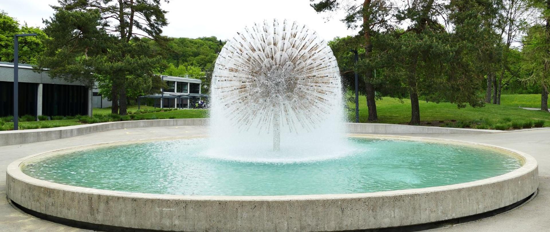 FONTANNY PODZIWIAJMY Z DALEKA!
