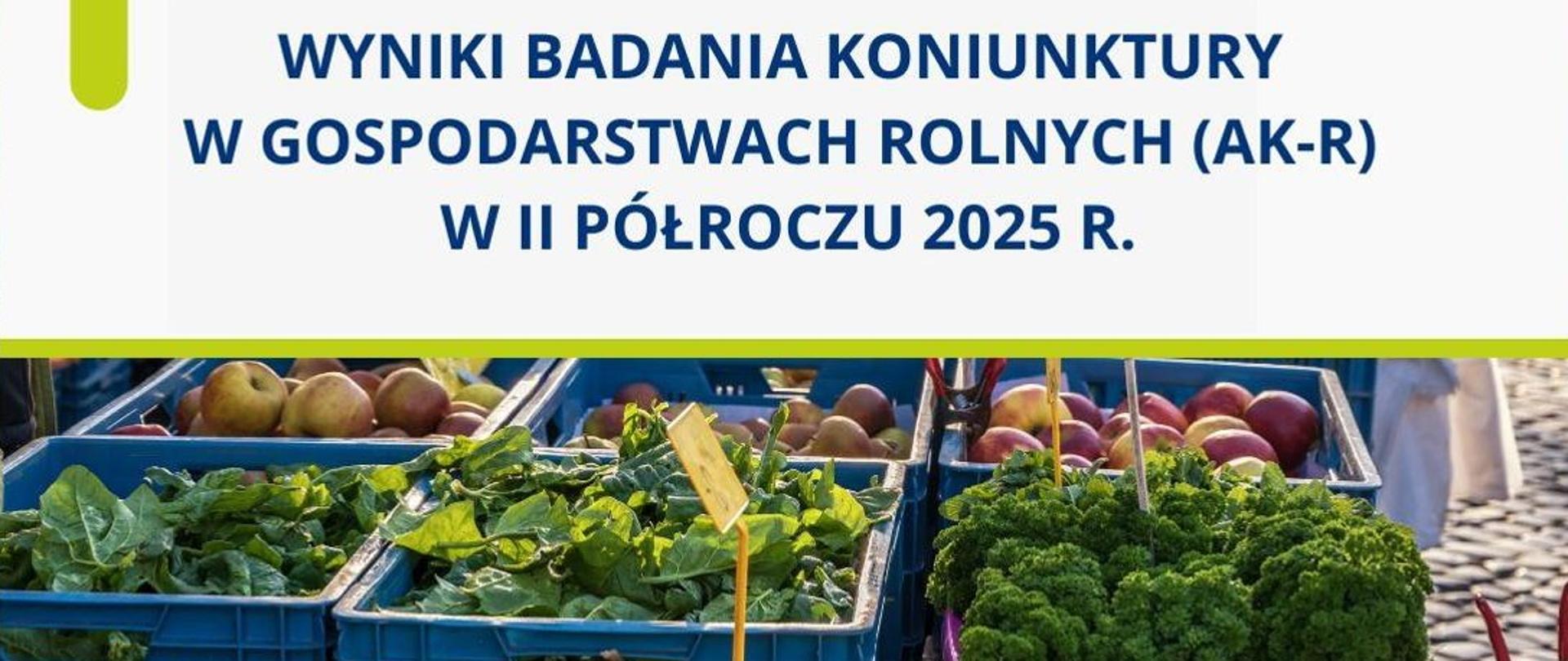 Wyniki badania koniunktury w gospodarstwach rolnych (AK-R) w II półroczu 2025 r.