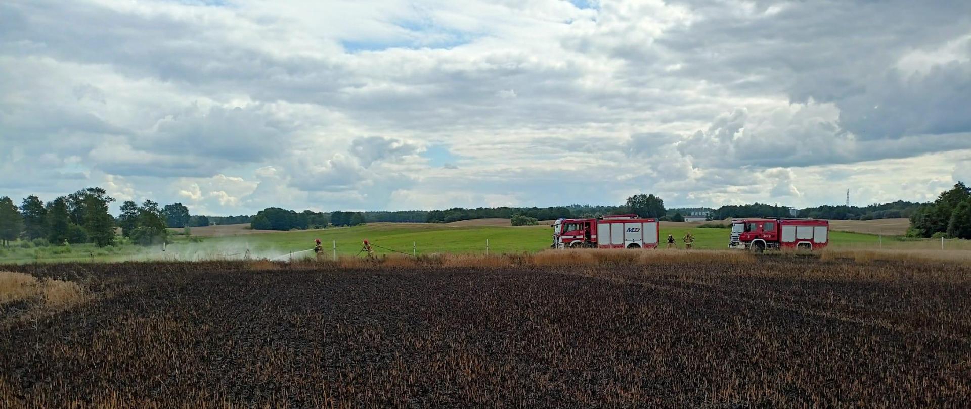 Bezpieczne żniwa 2024