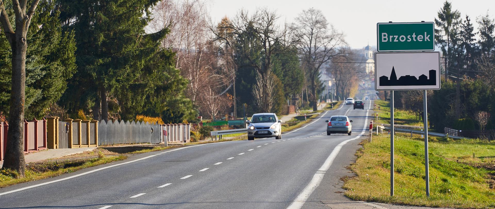 Droga z 2 pasami ruchu, po jednym w każdym kierunku, Na zdjęciu widać jadące samochody i znak drogowy po prawej stronie z napisem Brzostek. Świeci słońce, wiosenna aura. 