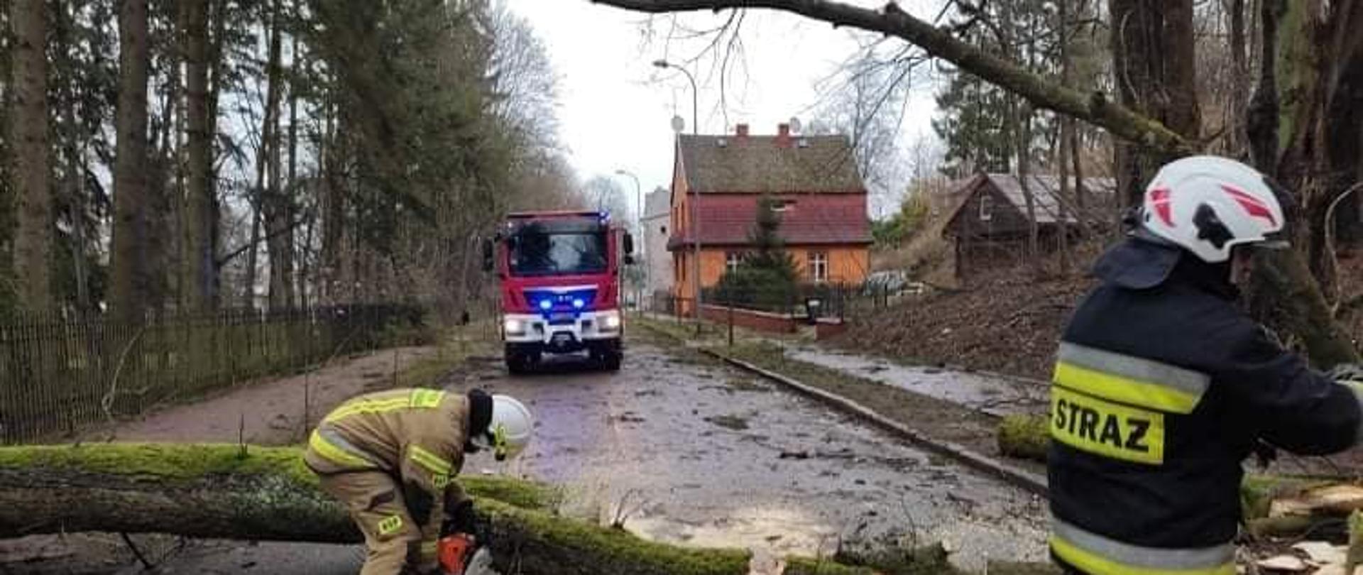 Zdjęcie przedstawia drzewo leżące na drodze, które tnie dwóch strażaków. Za drzewem stoi wóz strażacki w tle są budynki mieszkalne oraz drzewa.