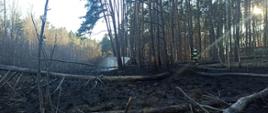 Zdjęcie przedstawia pożar lasu w m. Mostno