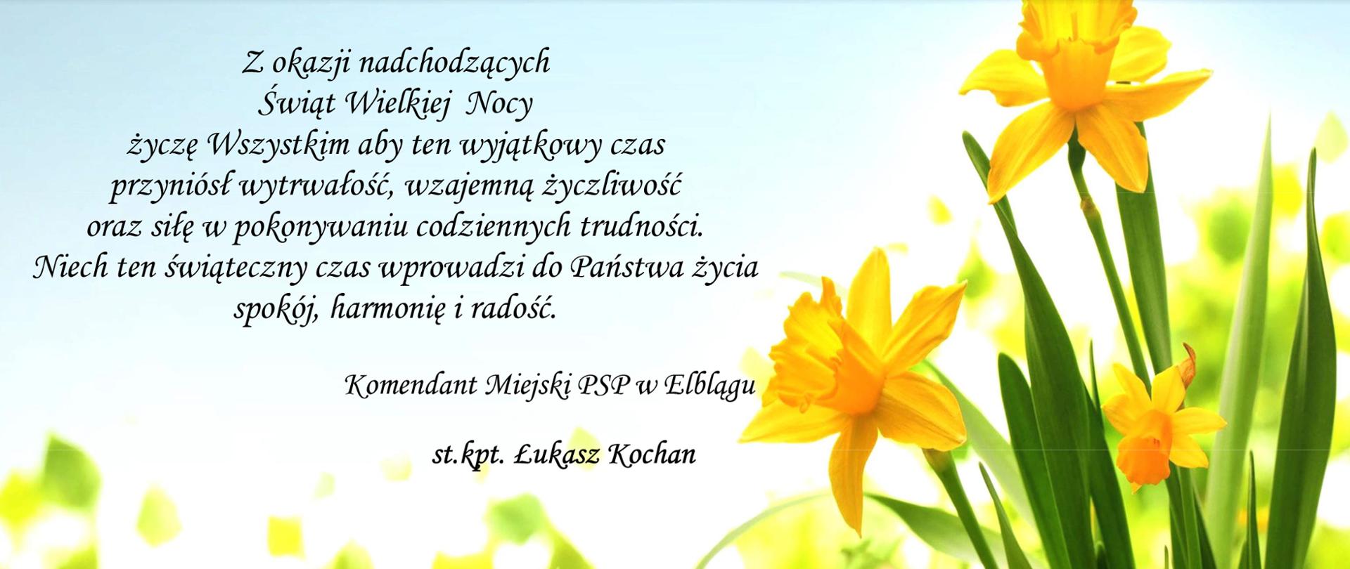 Grafika świąteczna przedstawiająca kolorowe pisanki i krokusy.