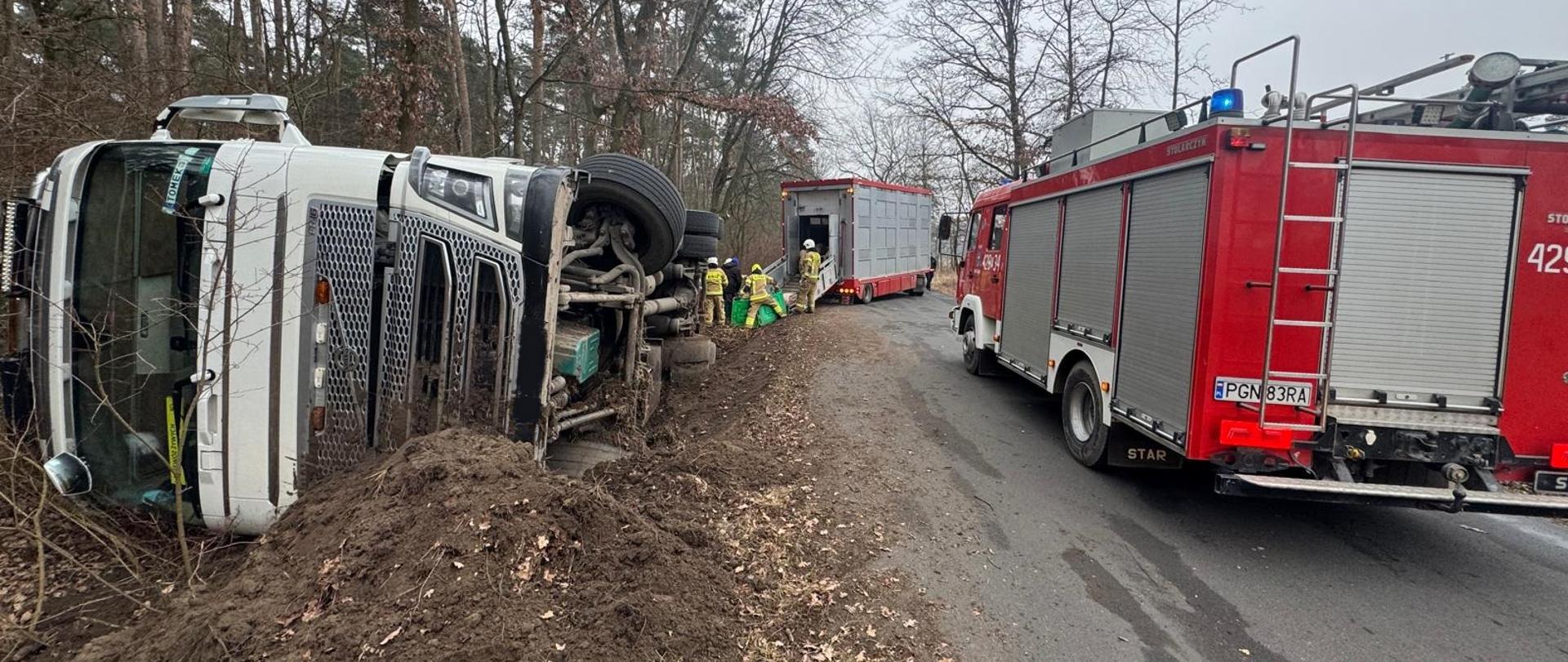 Na zdjęciu widać samochód ciężarowy znajdujący się poza drogą w pozycji na prawym boku. Na drodze stoi samochód pożarniczy zadysponowany do tego zdarzenia. Strażacy pomagają w przeładunku zwierząt na podstawiony inny samochód przystosowany do przewozu zwierząt.