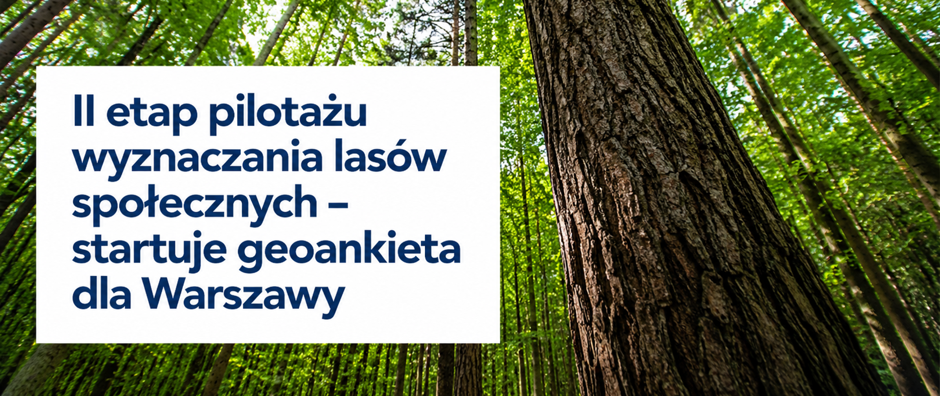 lowfs_wawa