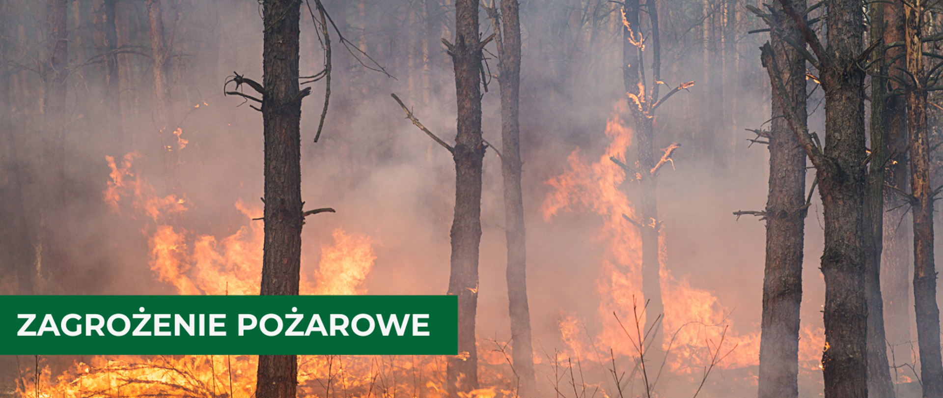 Płonący las w tle. Biały napis w zielonej ramce "Zagrożenie pożarowe"